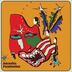 Cabbage – Amanita Pantherina (2020)